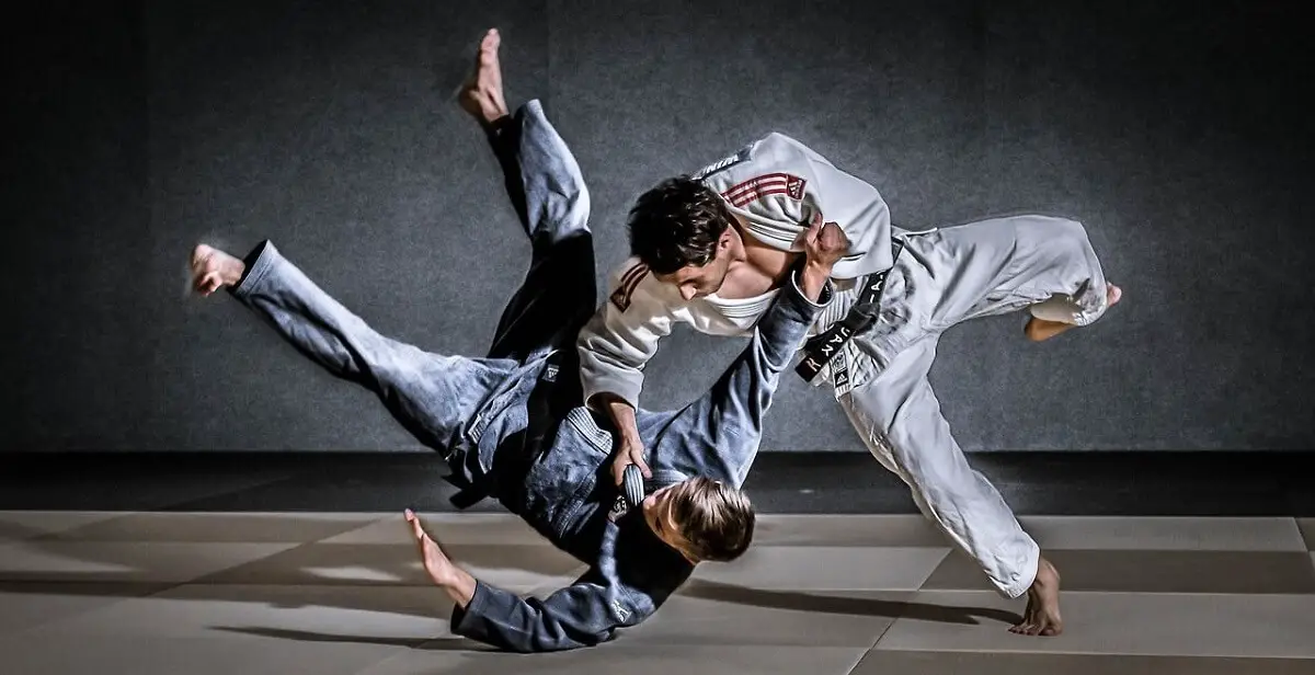 Brazilian jiu-jitsu the best martial arts to learn