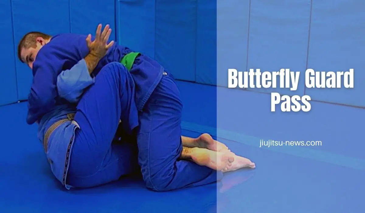 butterfly guard submissions