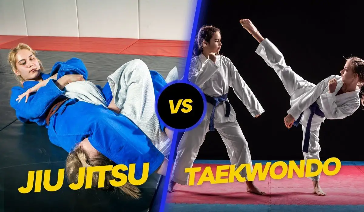 Jiu-Jitsu vs Taekwondo