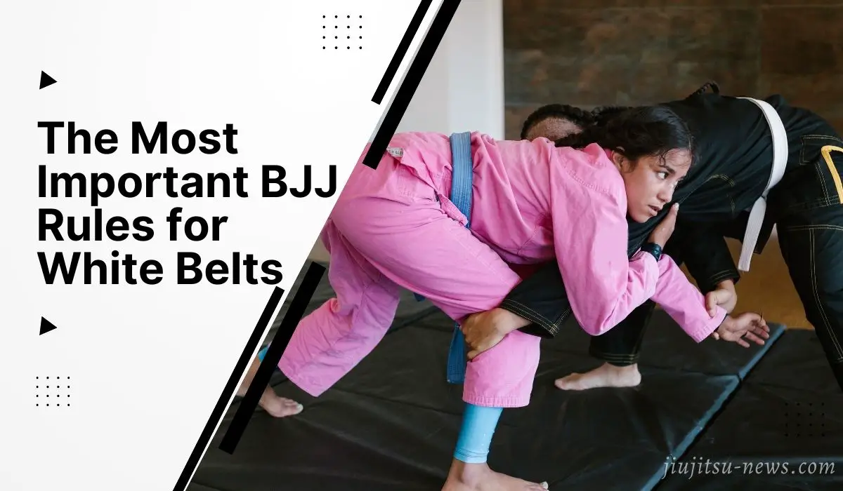 bjj rules for white belts