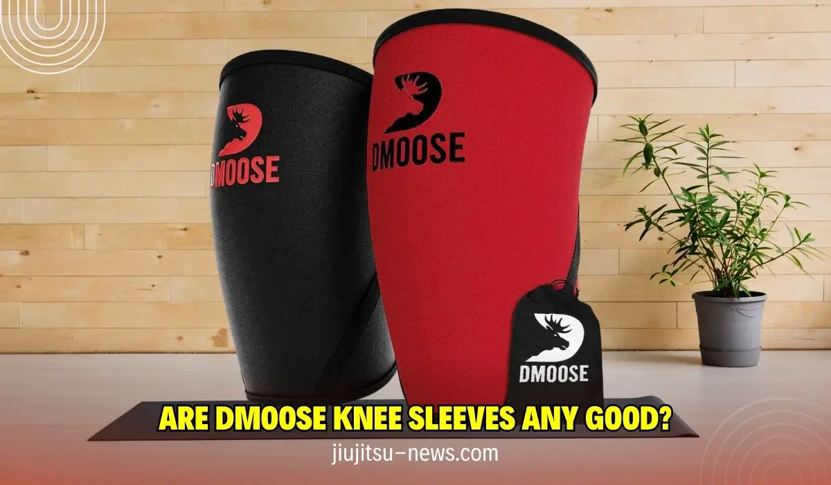 Are DMoose Knee Sleeves Any Good