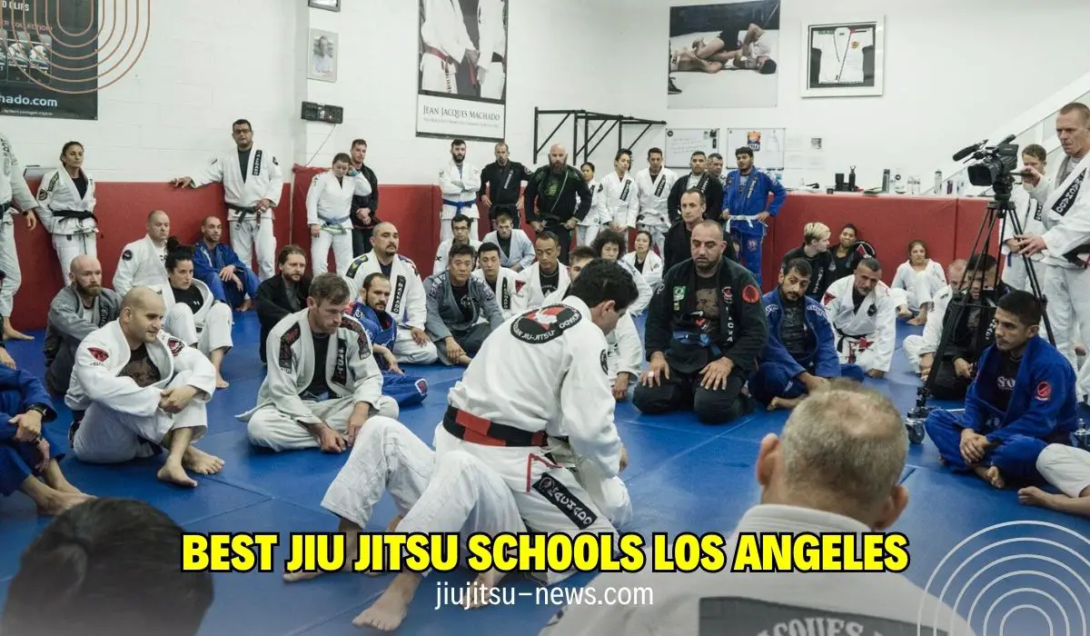 Best Jiu Jitsu Schools Los Angeles