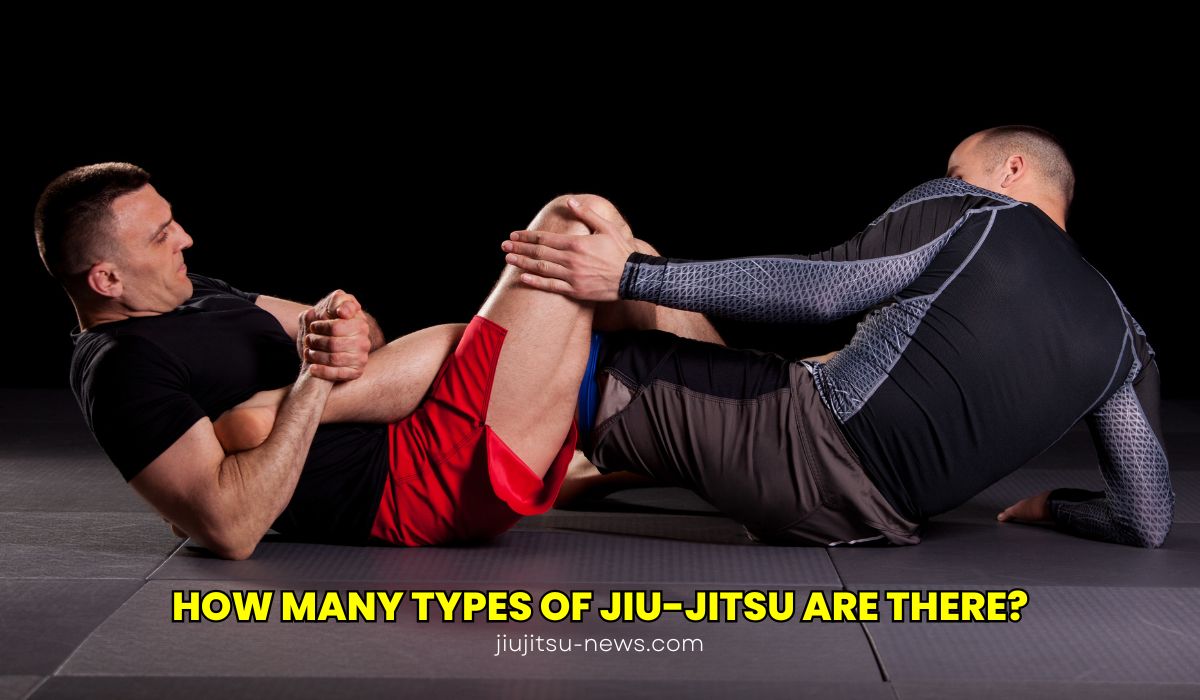 How Many Types of Jiu-Jitsu Are There?