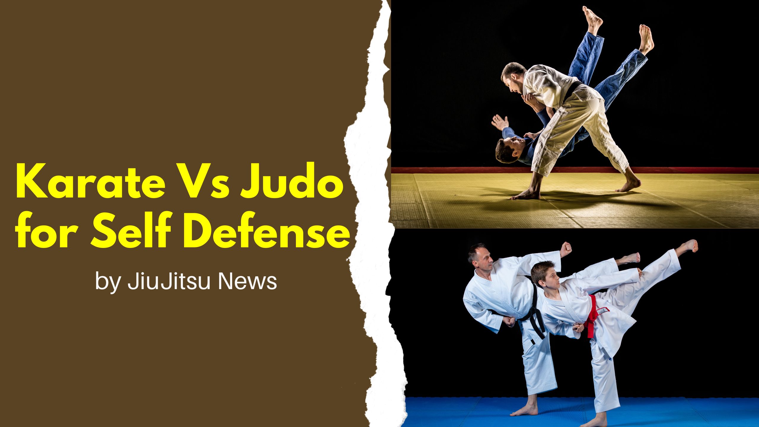 Karate Vs Judo for Self Defense