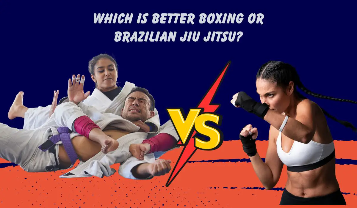 Which Is Better Boxing or Brazilian Jiu Jitsu
